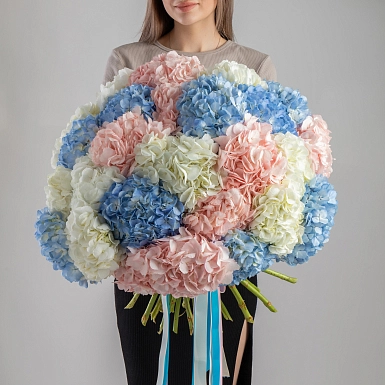 Букет из 35 разноцветных гортензий фото