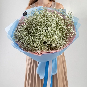 Букет из белых гипсофил 25 шт.