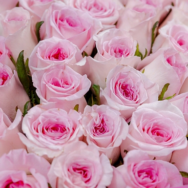 Букет из 51 розовых роз 50 см "Тянь-Шань" - фото 5