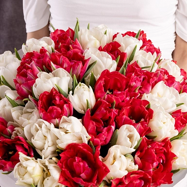 35 пионовидных бело-малиновых тюльпанов - фото 6