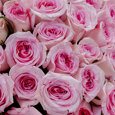 Букет из 101 розовых роз 50 см "Тянь-Шань" - фото 5