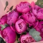 Букет из 9 малиновых пионов от Скакодуб А.А. с зеленью - фото 6