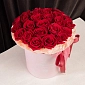 Коробка из 25 красных Голландских роз - фото 2