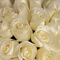 Коробка из 35 белых Голландских роз - фото 5