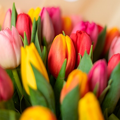 Букет из разноцветных тюльпанов "Радуга" S - фото 5