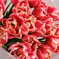 Букет из 25 красно-белых пионовидных тюльпанов - фото 5