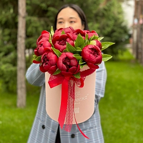 11 местных пионов в коробке "Red Charm"