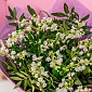 Букет из белых ландышей S - фото 3