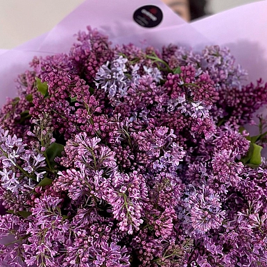 35 веток ароматной сирени - фото 5