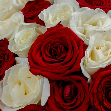 Букет из 51 красно-белых роз 70 см "Тянь-Шань" S - фото 5