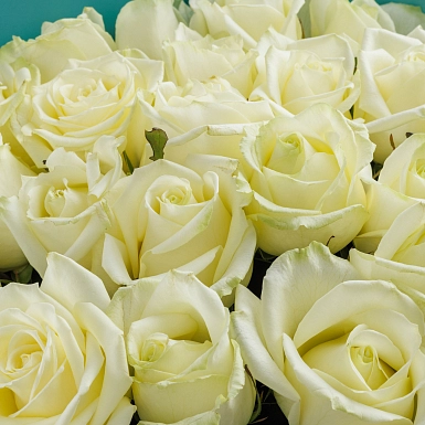 Букет из 25 белых роз 70 см "Тянь-Шань" S - фото 5