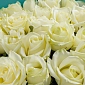 Букет из 25 белых роз 70 см "Тянь-Шань" S - фото 5