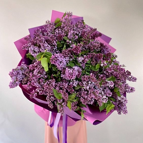55 веток ароматной сирени