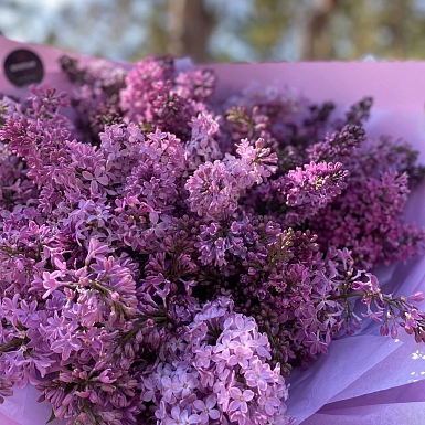 25 веток ароматной сирени - фото 5