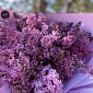 25 веток ароматной сирени - фото 5