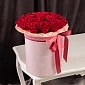 Коробка из 25 красных Голландских роз - фото 3