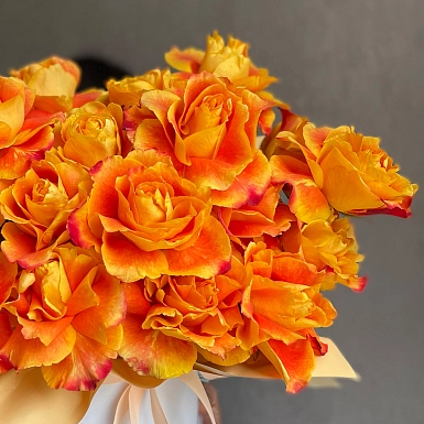 25 оранжевых сортовых Голландских роз в коробке - фото 2