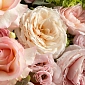 Букет из пионовидных роз "Alexandra" - фото 5
