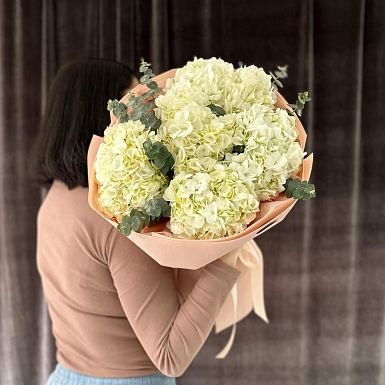 Букет из 5 белых гортензий с зеленью фото