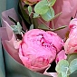 Букет из 3 розовых пионов с зеленью - фото 3