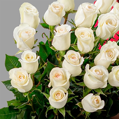 Букет из 25 белых роз 80 см - фото 3