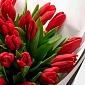 Букет из красных тюльпанов "Strong Love" M - фото 5