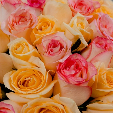 Букет из 51 кремовой и розовой розы 50 см "Тянь-Шань" - фото 5