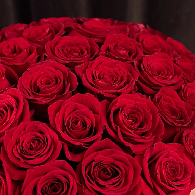 Коробка из 25 красных Голландских роз - фото 5