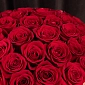 Коробка из 25 красных Голландских роз - фото 5
