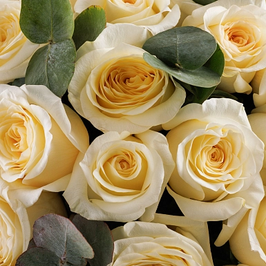 Букет из 51 пионовидных роз Candlelight с зеленью - фото 5