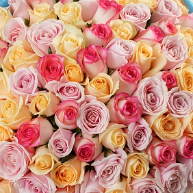 Илюстрация купить розы тянь-шаня в Алматы Купить розы тянь-шаня в Алматы