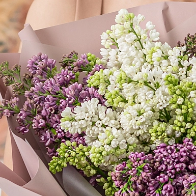 Букет из 15 веток сирени - фото 3