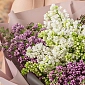 Букет из 15 веток сирени - фото 3