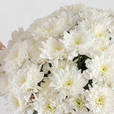 Композиция из хризантем в коробке "Bonita" - фото 5