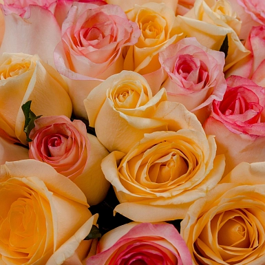 Букет из 51 кремовых и розовых роз 70 см "Тянь-Шань" S - фото 4