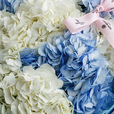 Букет из 9 голубых и белых гортензий фото