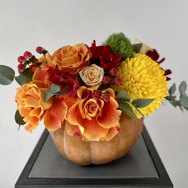 Композиция в тыкве "Маскарад" - фото 2