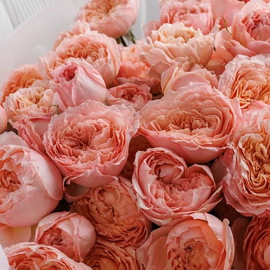 Букет из кустовых пионовидных роз "Julie" S - фото 5