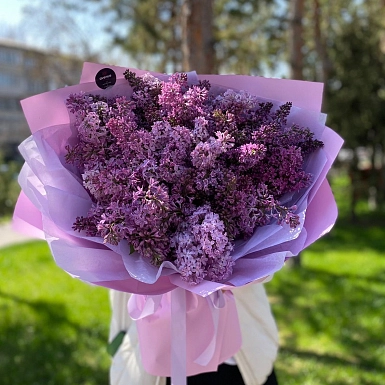 25 веток ароматной сирени - фото 3