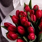 Букет из 35 красных тюльпанов - фото 6