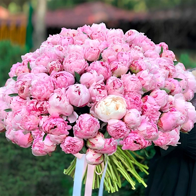 Букет из 101 розового пиона - фото 1