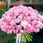 Букет из 101 розового пиона - фото 1