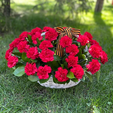 51 красная гвоздика в корзине - фото 1