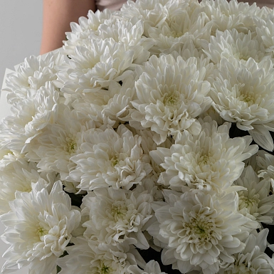 Букет из белых кустовых хризантем "Baltica" S - фото 6