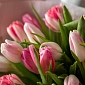 Букет из розовых тюльпанов "Оттенки розового" S - фото 5