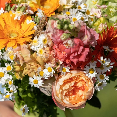 Букет невесты из гербер и ромашек "Сияние" - фото 4