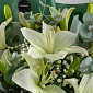 Букет из белых лилий "Lilium" S - фото 5