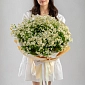 Букет из ромашек "Камилла" - фото 1