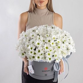 Композиция из хризантем в коробке "Alma"