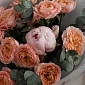 Букет из пионов и кустовых пионовидных роз "Сказка Джульетты" - фото 5